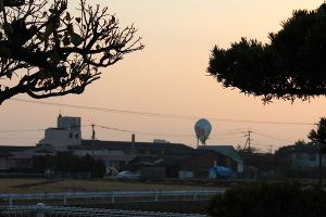 %e3%83%90%e3%83%ab%e3%83%bc%e3%83%b3%e8%80%81%e5%81%a5