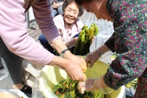 きりんで取れた高菜で漬物
