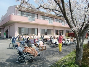 桜の下で体操